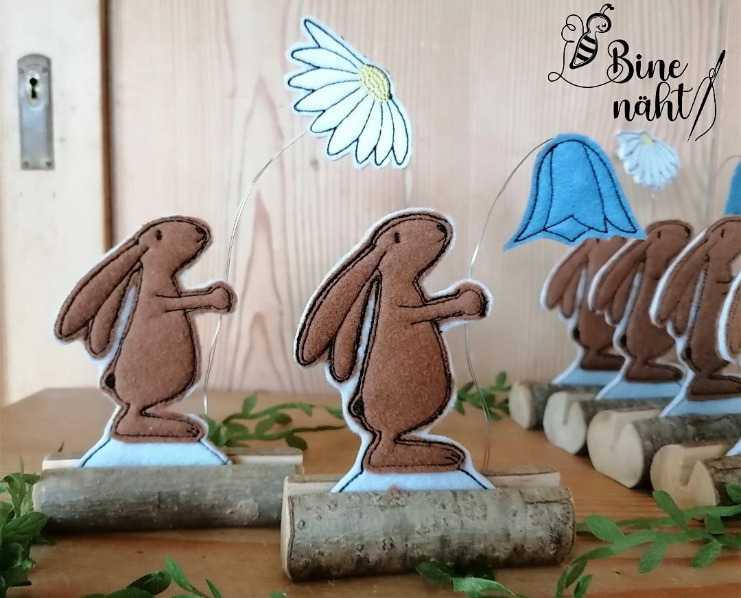 Hase